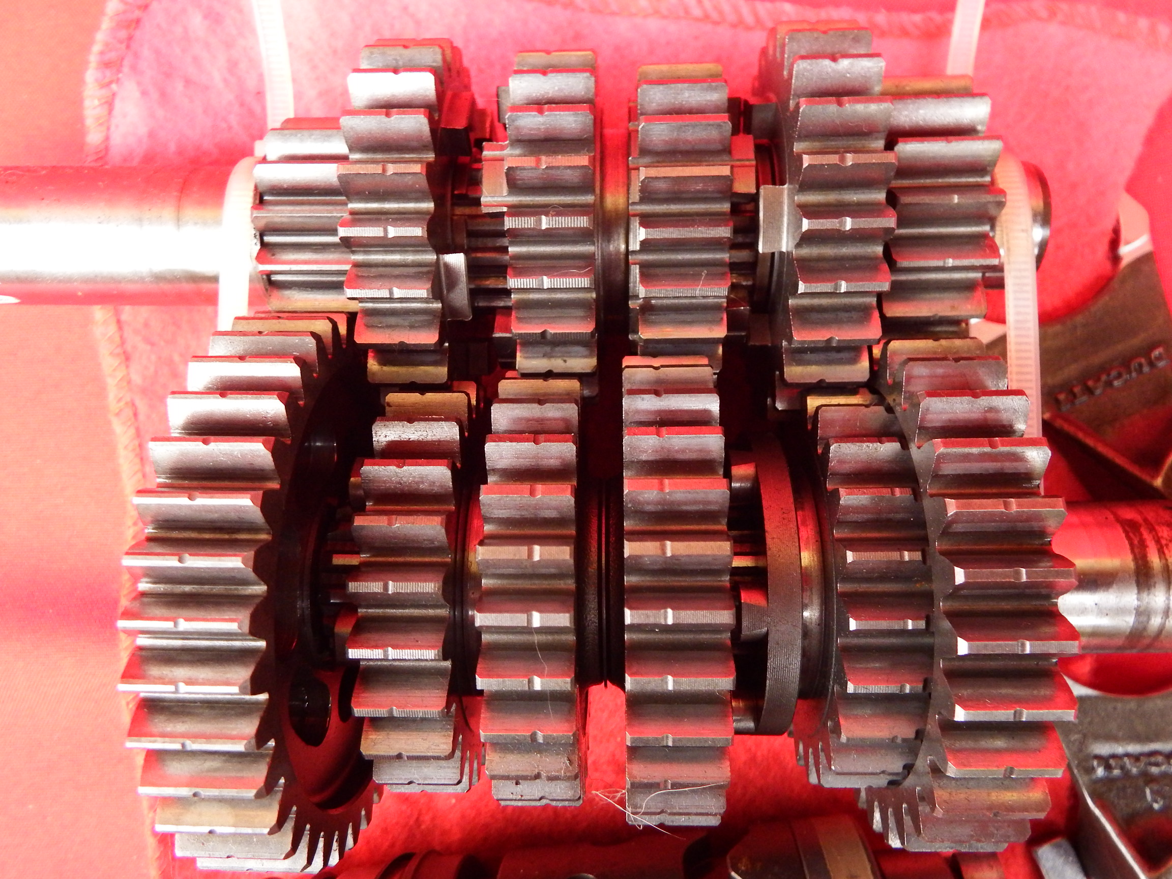 DSCF2253.JPG