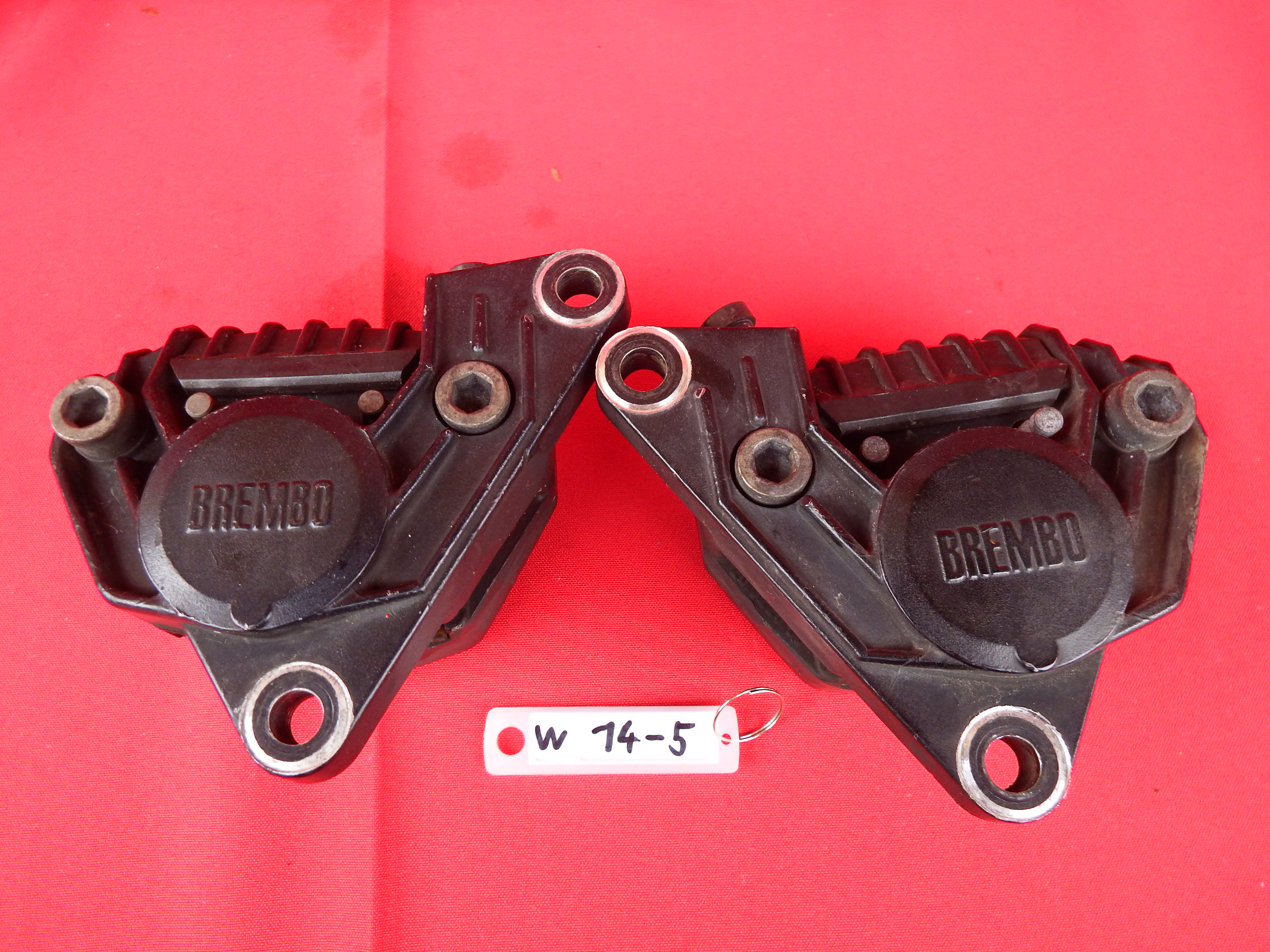 DSCF0241.JPG