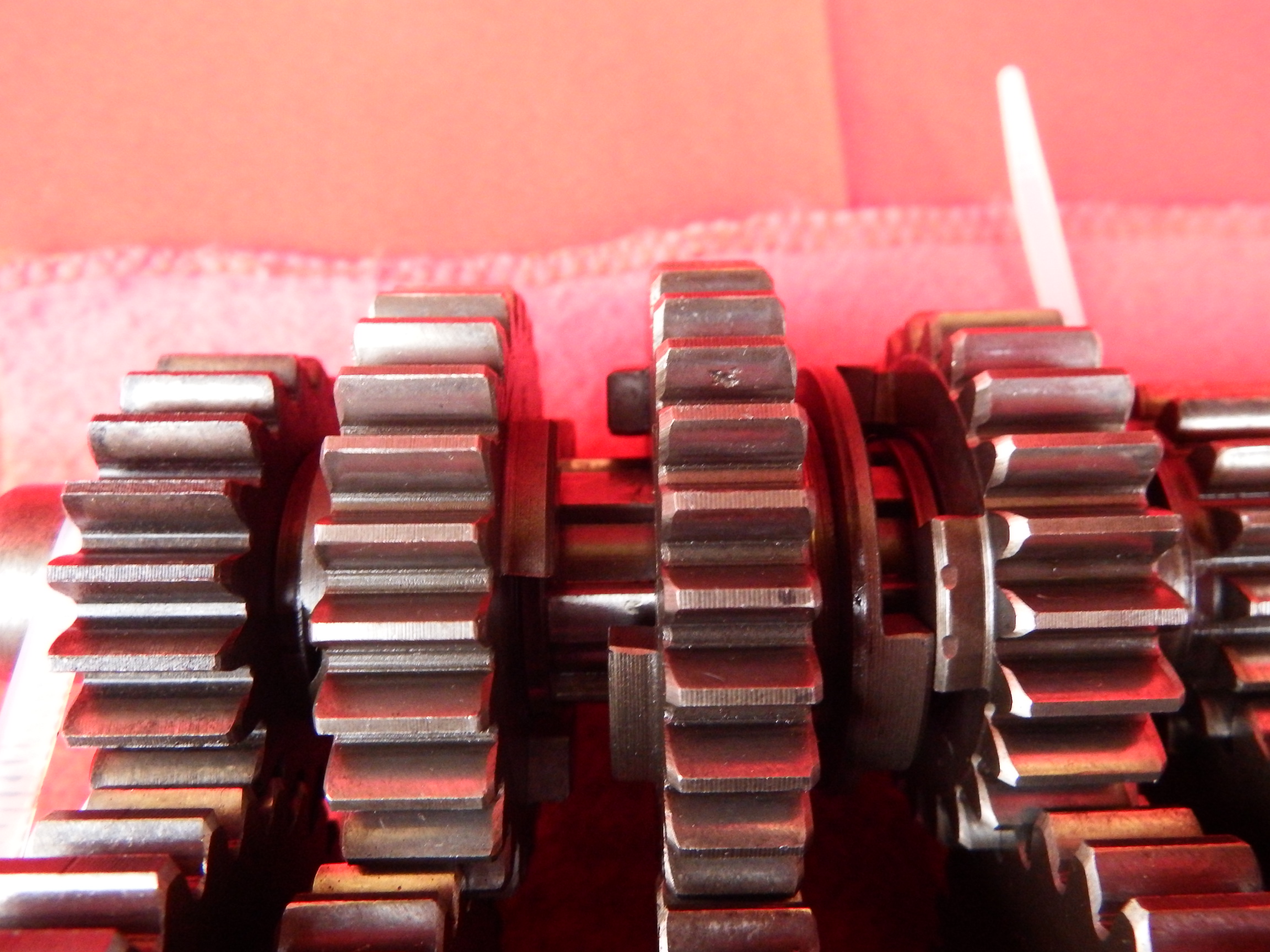 DSCF2289.JPG