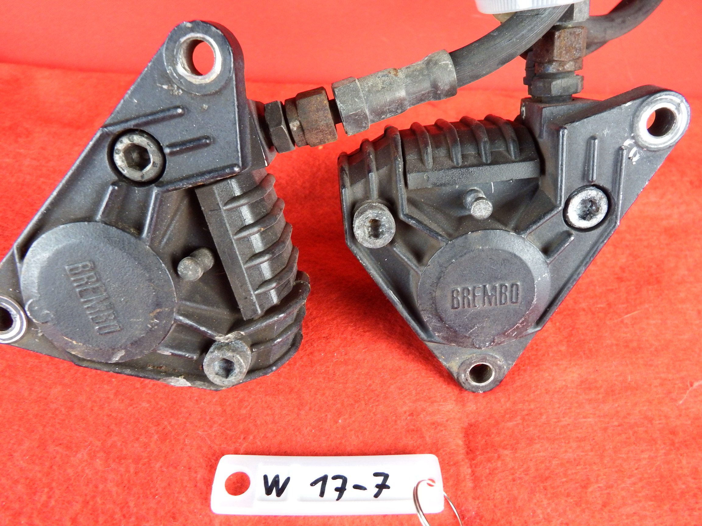 DSCF2975.JPG