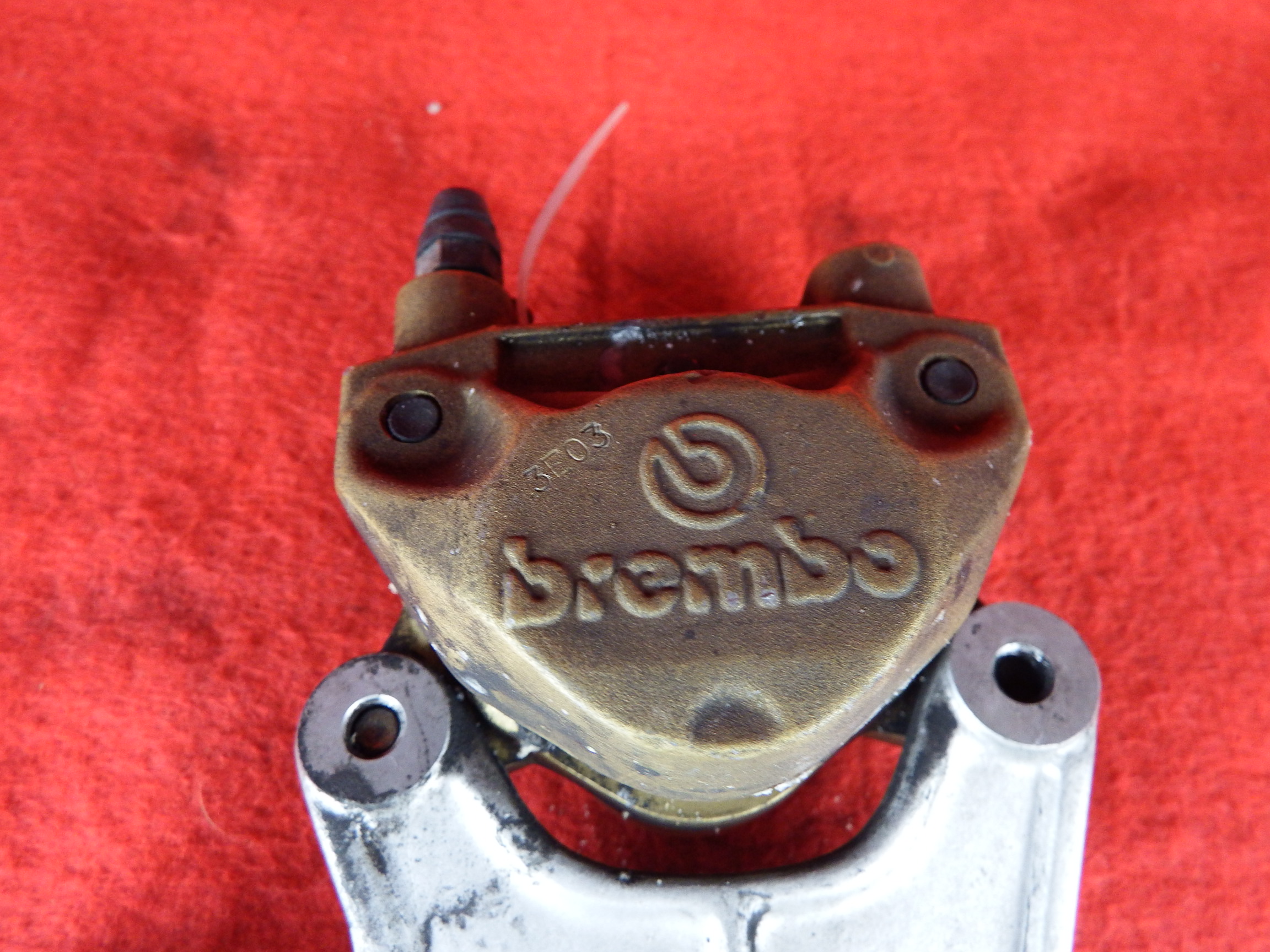 DSCF3020.JPG