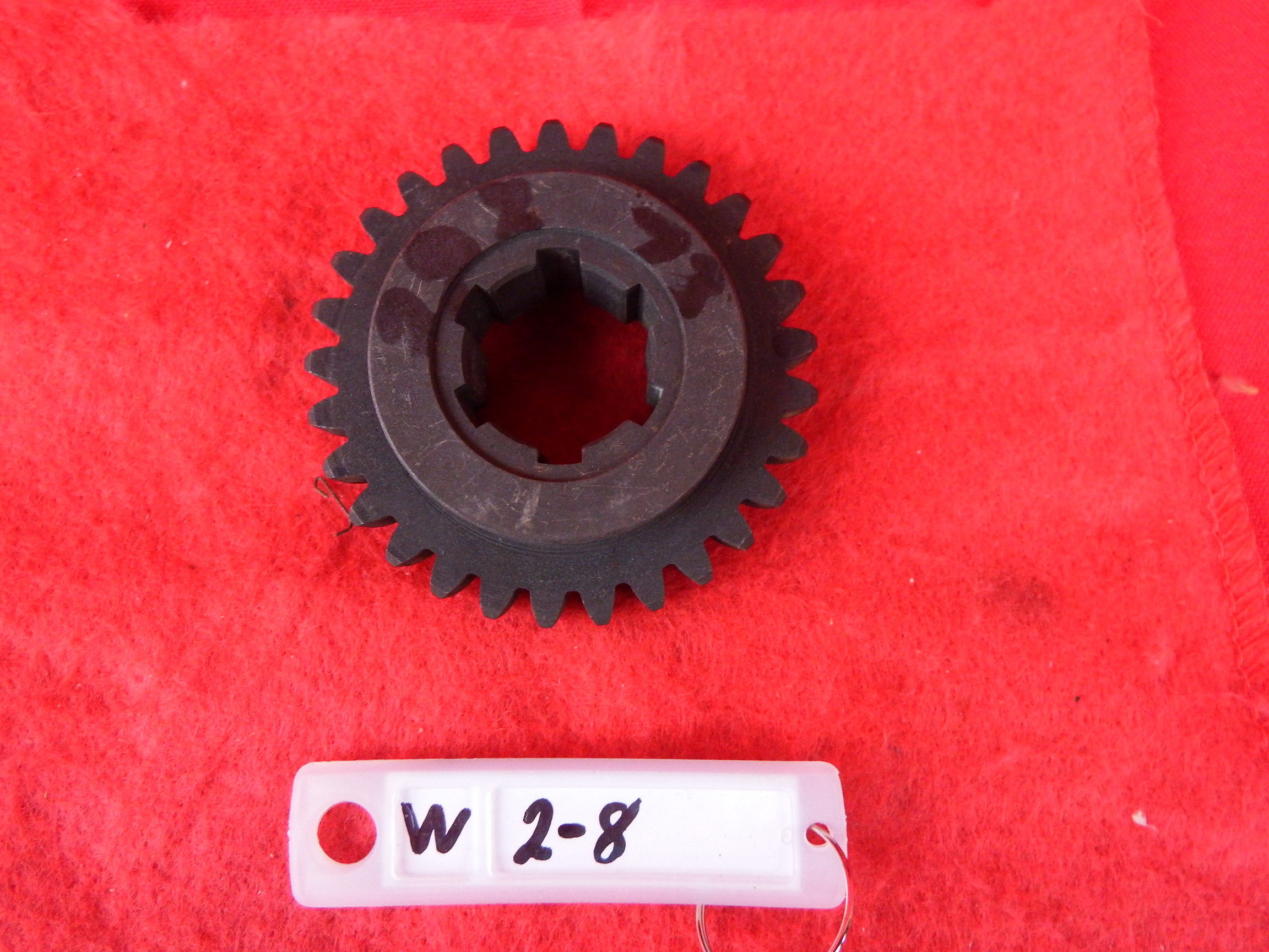 DSCF2202.JPG