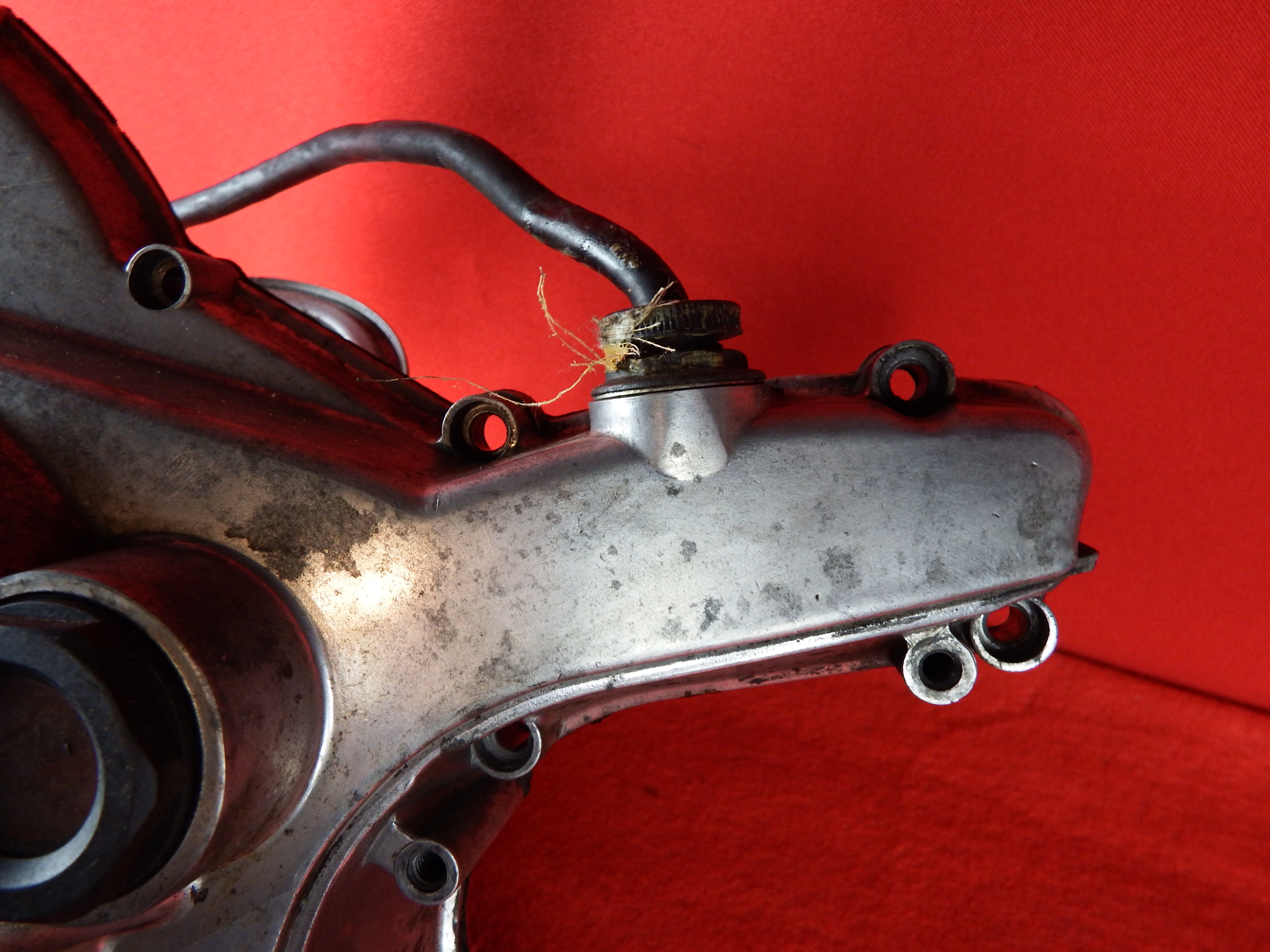 DSCF3177.JPG