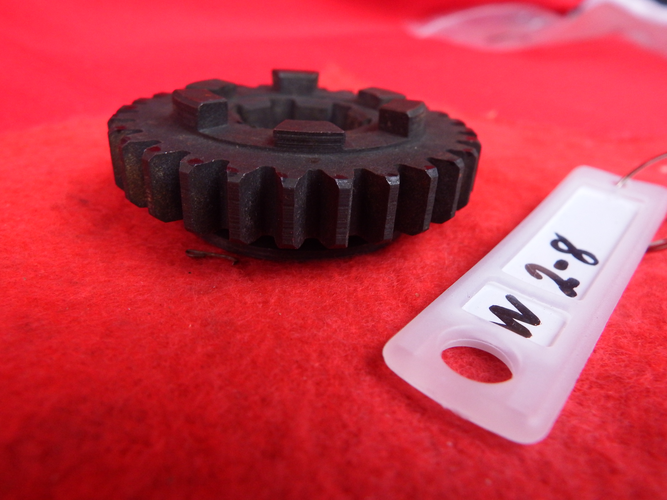 DSCF2203.JPG