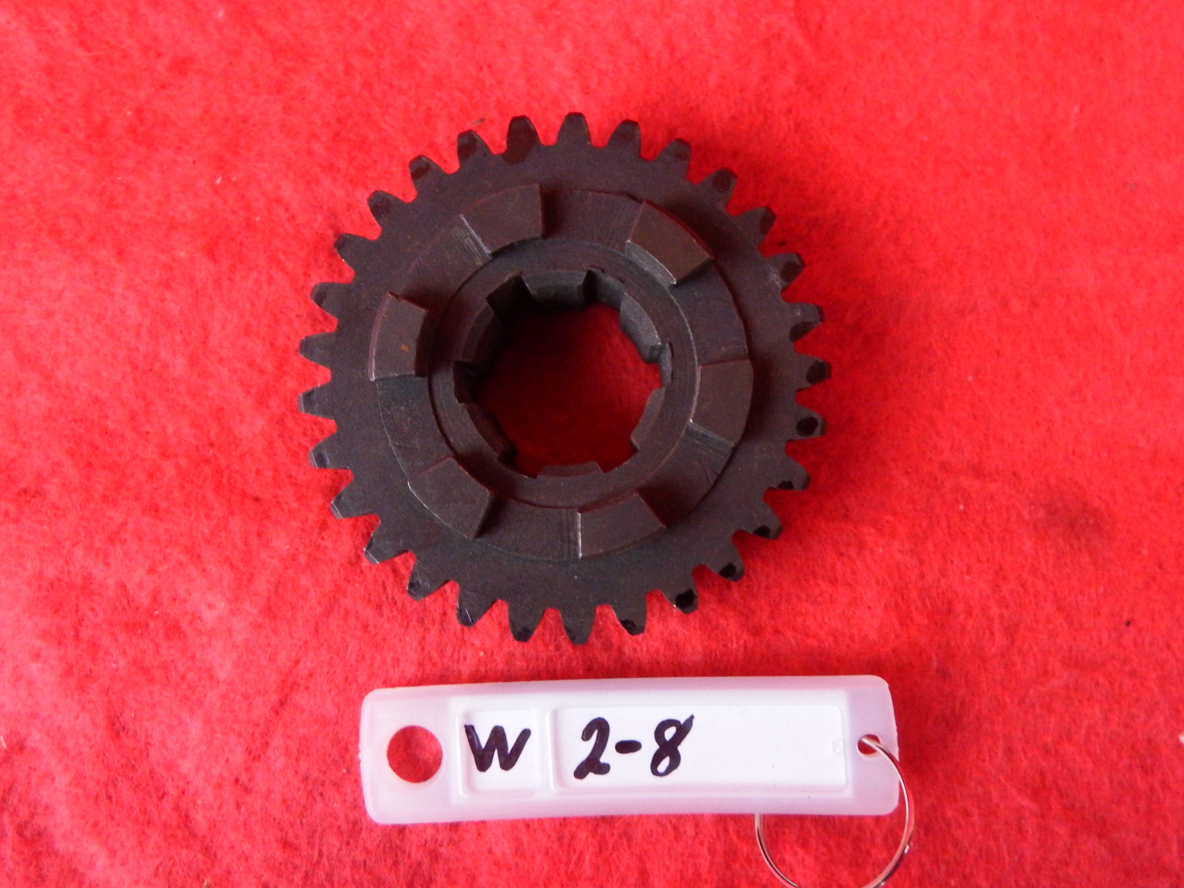 DSCF2204.JPG