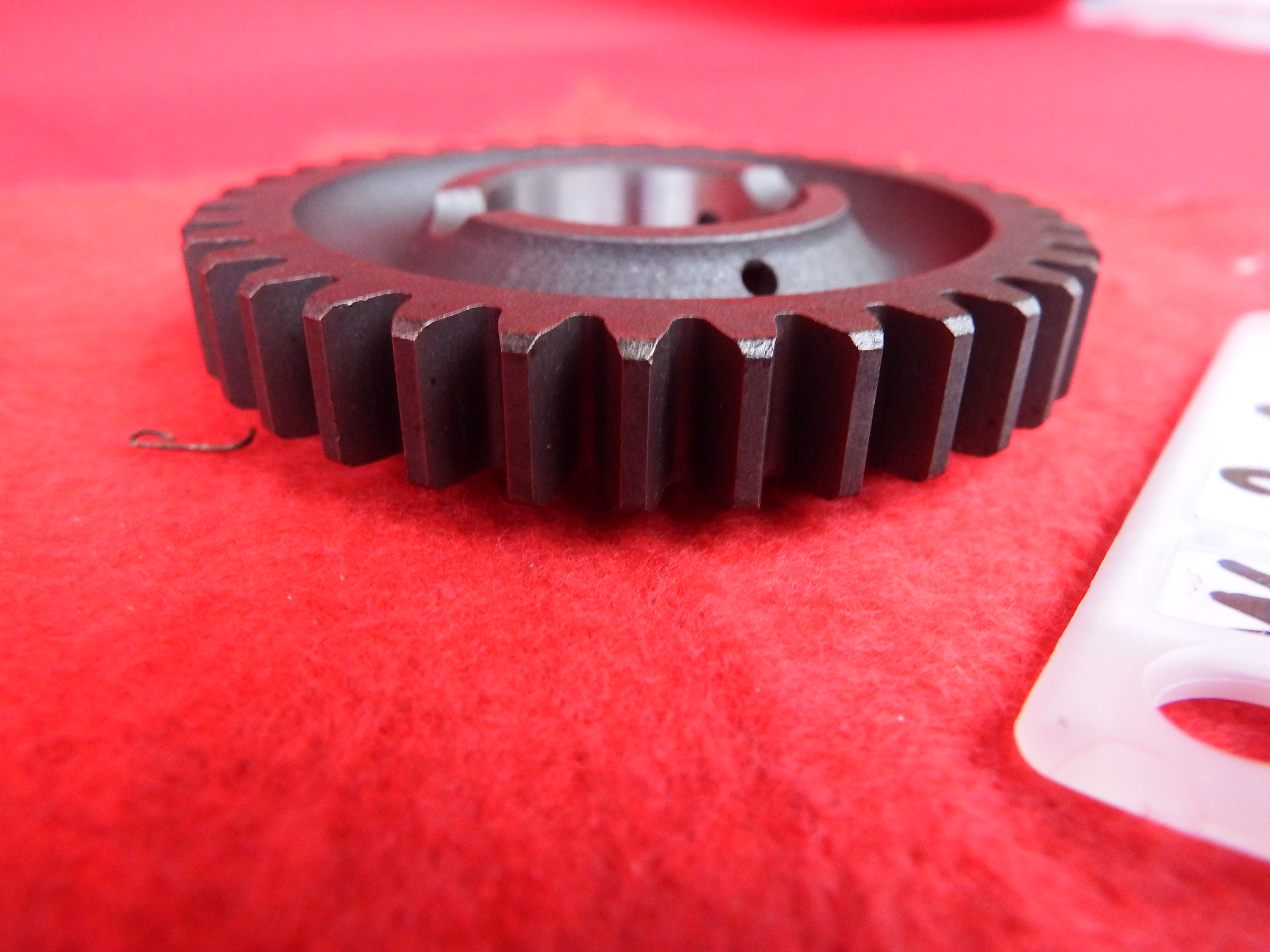 DSCF2209.JPG